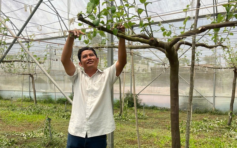 nông dân đứng cạnh cây táo trồng trong nhà lưới phủ kín tại vườn táo ngon farm tuy phong